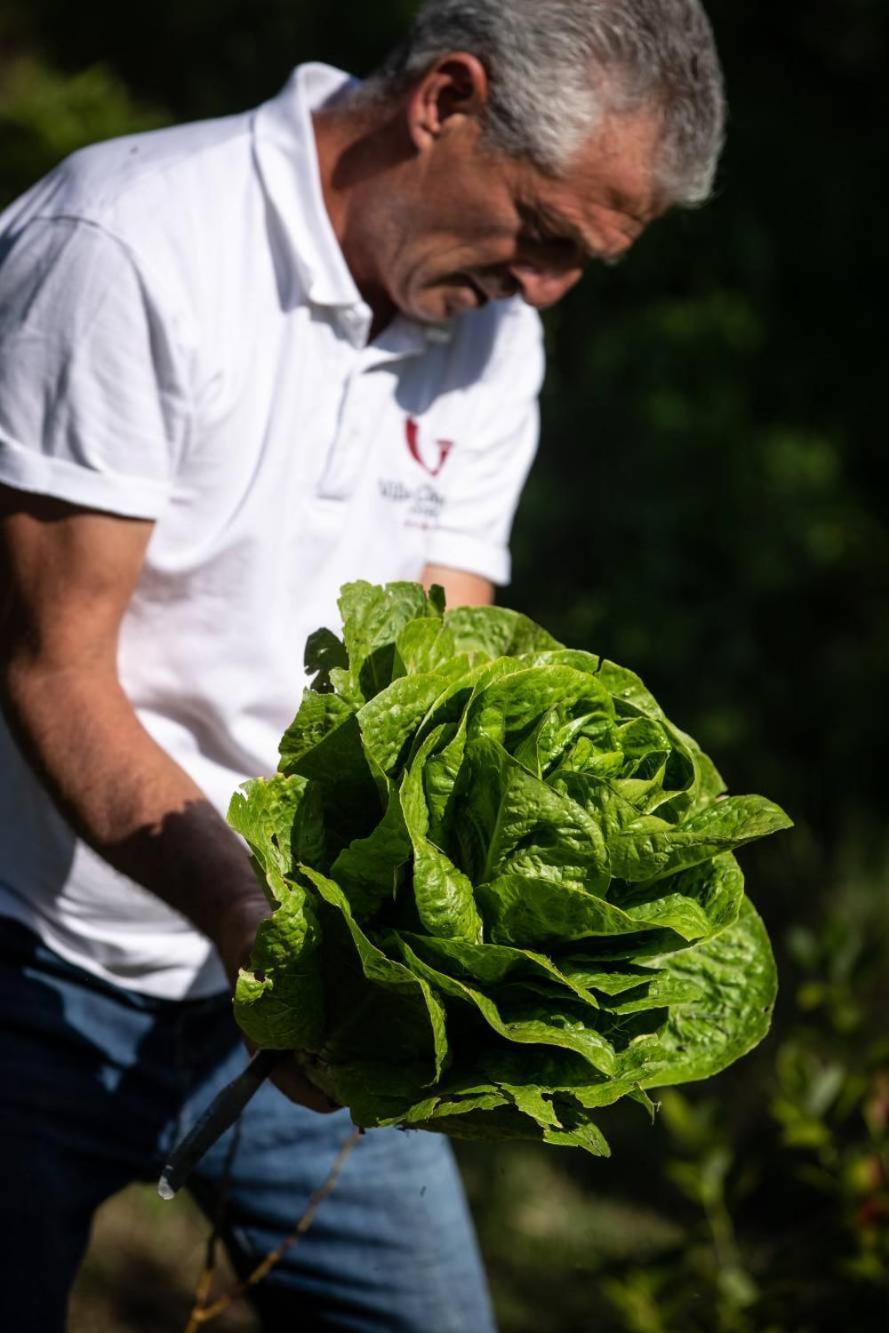 Villa Ginevra Resort Agrituristico Ficarra エクステリア 写真