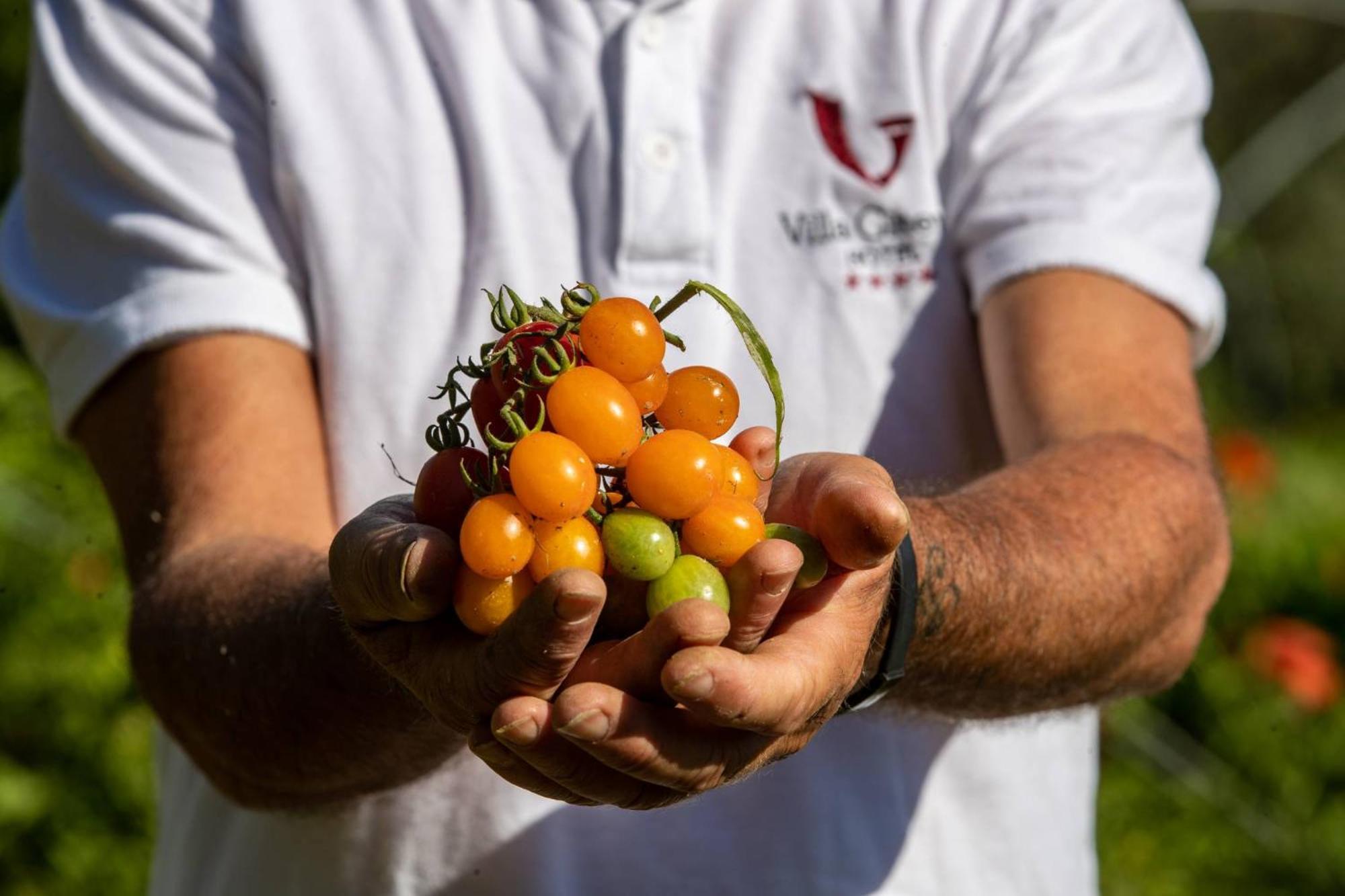 Villa Ginevra Resort Agrituristico Ficarra エクステリア 写真